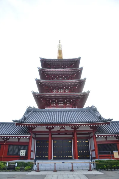 DSC_3493 (Large).JPG